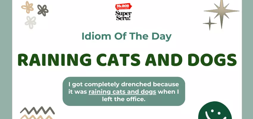 Mengungkap Makna Idiom “Raining Cats and Dogs” - Mr.BOB Kampung Inggris