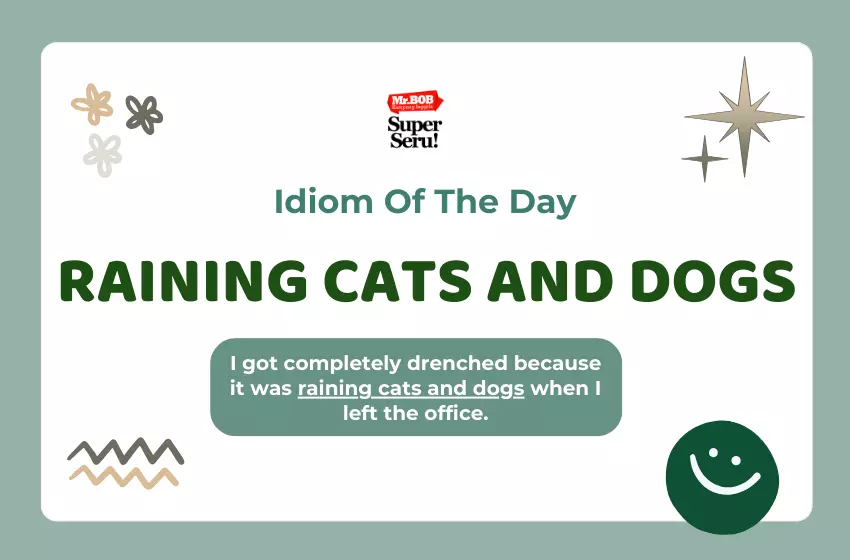 Mengungkap Makna Idiom “Raining Cats and Dogs” - Mr.BOB Kampung Inggris