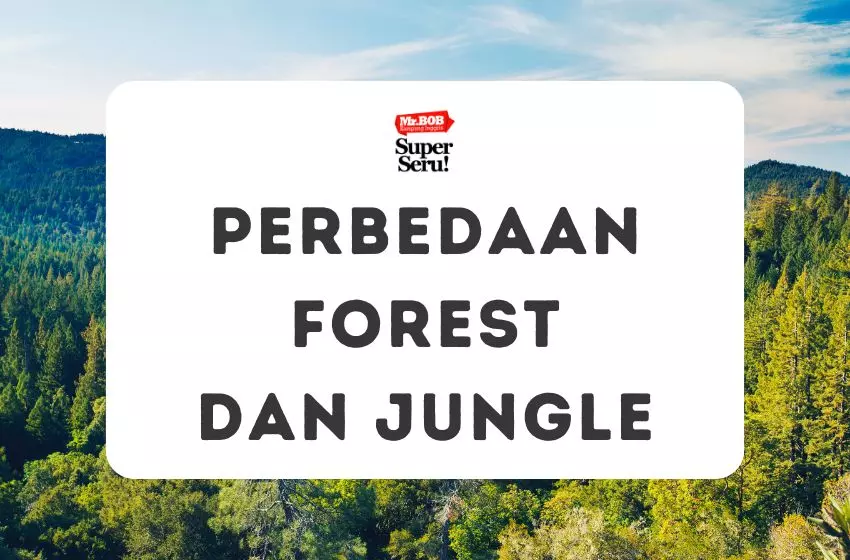 Perbedaan Forest dan Jungle dalam Bahasa Inggris