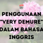 Penggunaan “Very Demure” dalam Bahasa Inggris