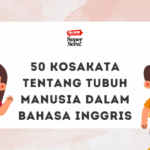 50 Kosakata Tentang Tubuh Manusia dalam Bahasa Inggris