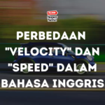 Perbedaan “Velocity” dan “Speed” dalam Bahasa Inggris