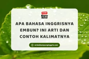 Apa Bahasa Inggrisnya Embun? Ini Arti dan Contoh Kalimatnya - Mr.BOB Kampung Inggris