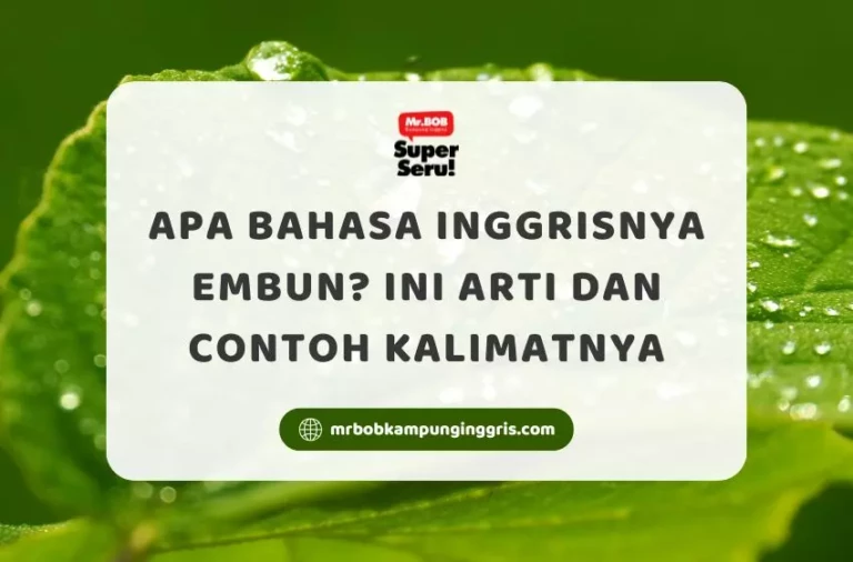 Apa Bahasa Inggrisnya Embun? Ini Arti dan Contoh Kalimatnya - Mr.BOB Kampung Inggris