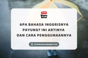Apa Bahasa Inggrisnya Payung? Ini Artinya dan Cara Penggunaannya - Mr.BOB Kampung Inggris