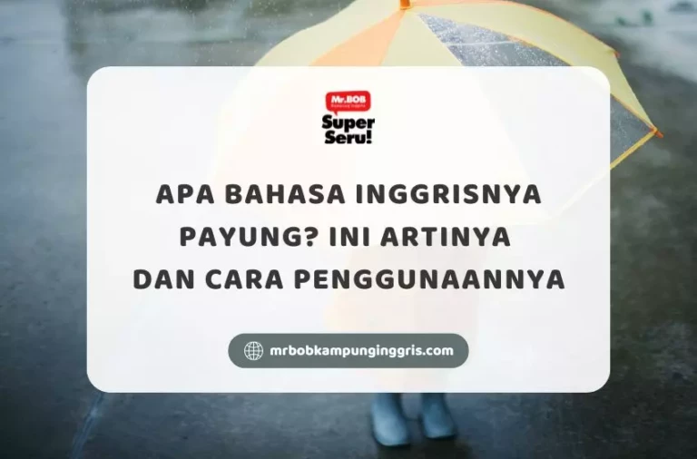 Apa Bahasa Inggrisnya Payung? Ini Artinya dan Cara Penggunaannya - Mr.BOB Kampung Inggris